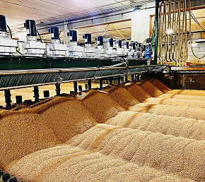 Agri Processing Units